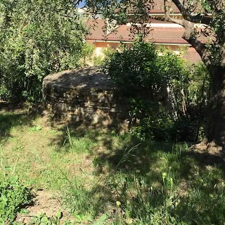 Casa Solemar